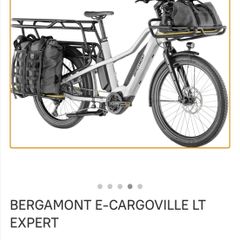 Electric Bike