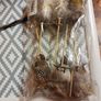 artifical  owls 6 pack Image 2