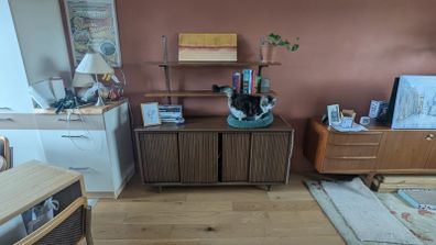 Mid-Century Sideboard with Adjustable Shelves