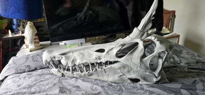 Spinosaurus Skull