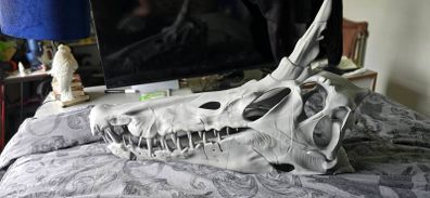 Spinosaurus Skull