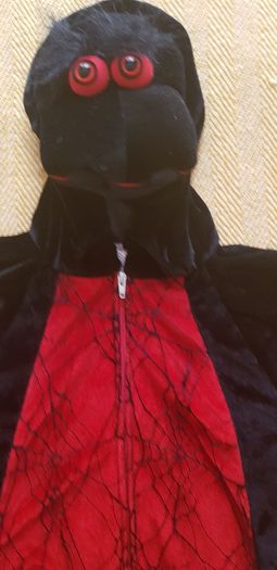Spider costume