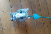 Push along cat toy