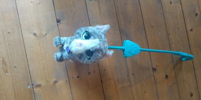 Push along cat toy