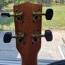 ukelele Image 5