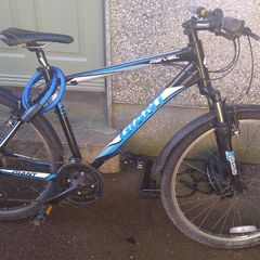 Bicycle - Size L