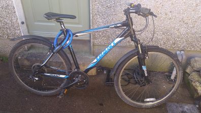 Bicycle - Size L
