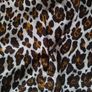 Leopard designer dress M Image 6