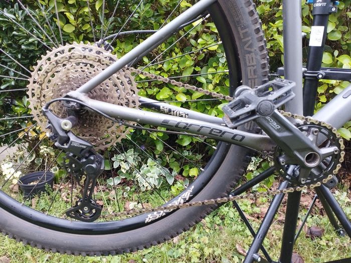 Carrera Sulcata 3