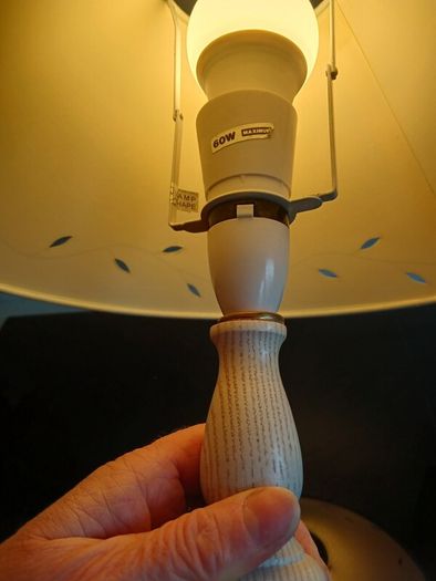 Pale Green Lampshade