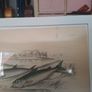 Antique fish prints 1840 Image 3