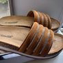 New Camel Slides Image 2