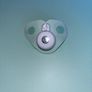 owlet Image 3