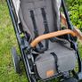 buggy Image 4