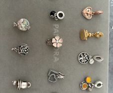 Pandora Charms