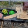 Hamsters cage Image 4