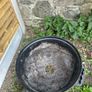 Bbq Image 3