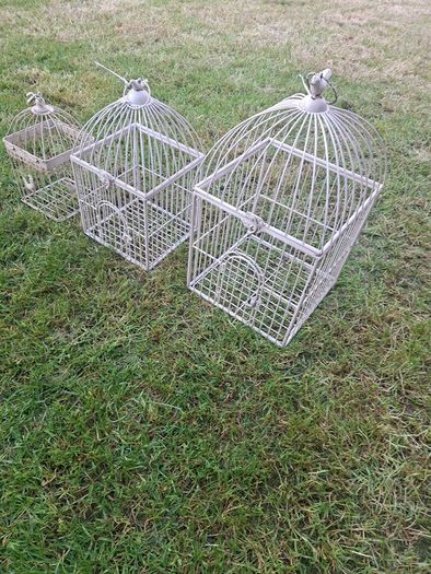 Bird Cage / flower display / floral arrangements