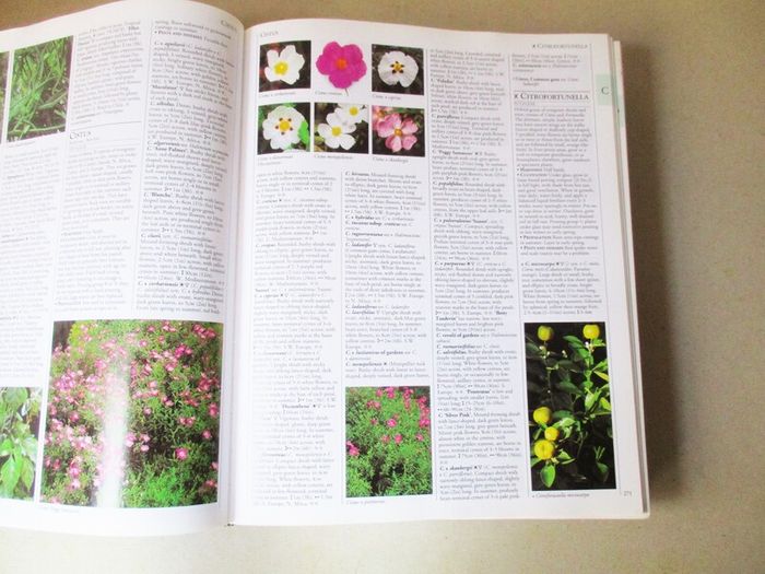 A - Z Encyclopedia Of Garden Plants