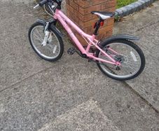 girl's bicycle mystic 20 pink