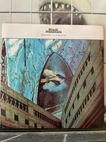 Black Mountain - Rollercoaster / In The Drones (7" Single)