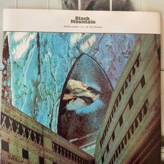 Black Mountain - Rollercoaster / In The Drones (7" Single)