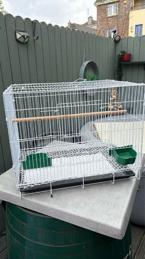 bird cage