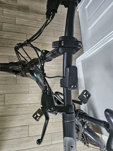 FIIDO Electric Bike