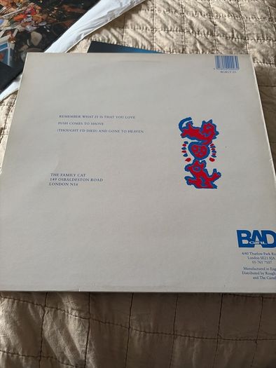 Family Cat - Remember what it is you love 12"