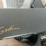 Godin xtsa Image 2