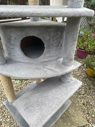 Cat scratcher