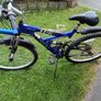 adults  bike Image 3