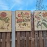 Beautiful Set of 3 Vintage Botanical Canvas Prints by Wild Apple Portfolio Image 10