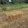 Organic Straw Small Squares Image 3