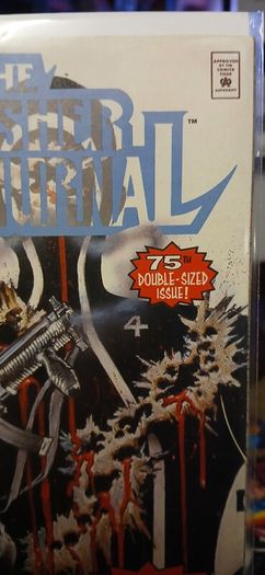 Punisher War Journal #75 1st Lynn Michaels as New Punisher Rare/Low Print Run