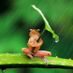 biker4life