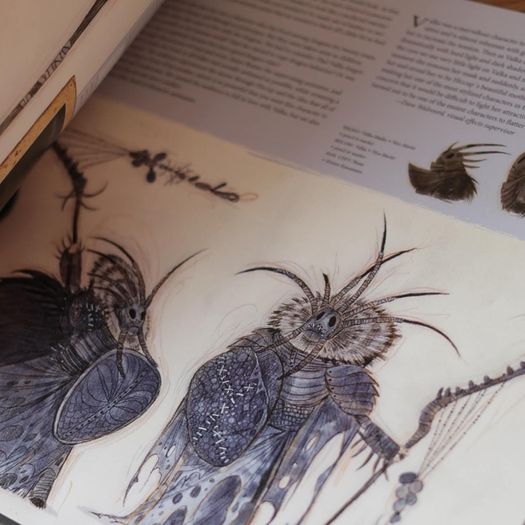 The Art of How to Train Your Dragon 2 Book