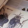 The Art of How to Train Your Dragon 2 Book Image 5