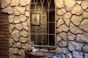 Rustic Vintage Mirror Arch Mirror Gothic Style 50 x 115 cm for Indoor and Outdoor Use