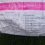 vertical gardening kit Image 4
