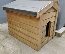 dog kennel