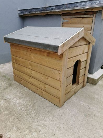 dog kennel