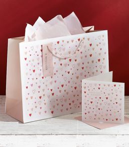 NEXT Gift Bag & Card