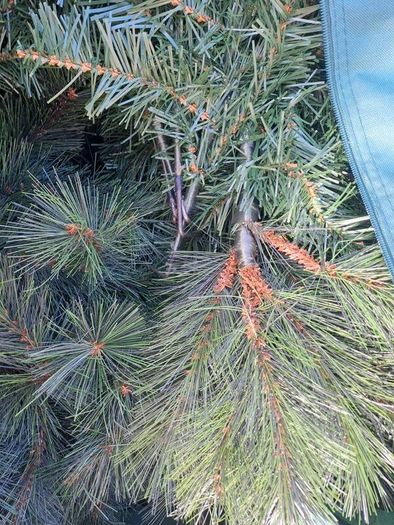 6ft Christmas tree natural effect