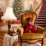 fancy fabric Christmas backdrop Image 4