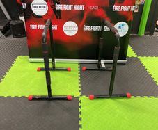 Parallel Dip Bars