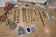 plumbing fitting
