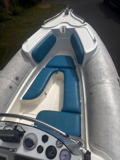 rib