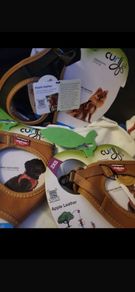 Vest Harness