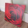Rose Picture Image 3